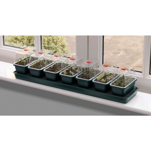 Garland Self Watering Propagator Super 7, 76×18.5×15 cm