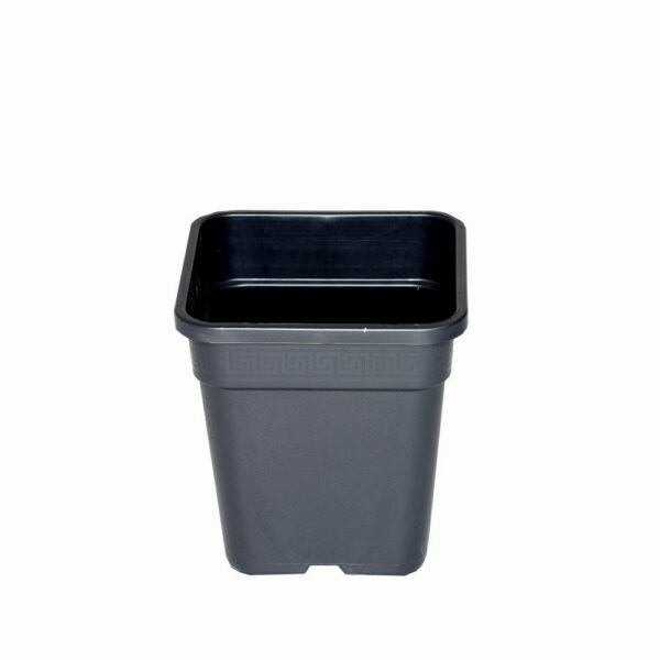 Wilma Blumentopf Plastik 18x18x23 cm – 6,5 l
