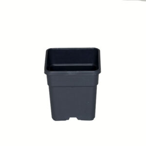 Wilma Blumentopf Plastik 11x11x19 cm - 1,65 l