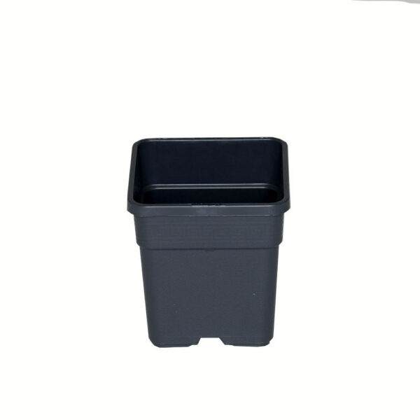Wilma Blumentopf Plastik 11x11x19 cm – 1,65 l