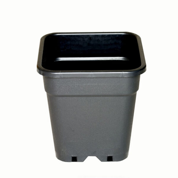 Wilma Blumentopf Plastik 31x31x32 cm – 18 l