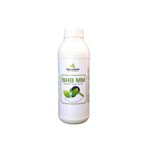 Botano Health BHB-MM Blätter Shiner, 1 l