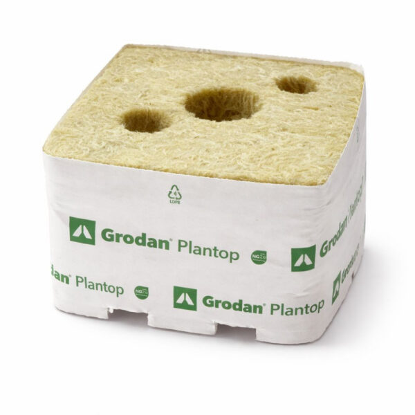 Grodan Plantop 100x100x65 mm, Anzuchtwürfel mit 3 Löchern