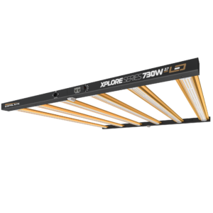Dimlux Xplore 730W 2.7 LED-Growlampe, 2,7 µmol/J, dimmbar