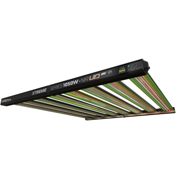 Dimlux Xtreme 1050W MKII LED-Growlampe, 3877 µmol/s