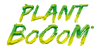 Plant BoOom
