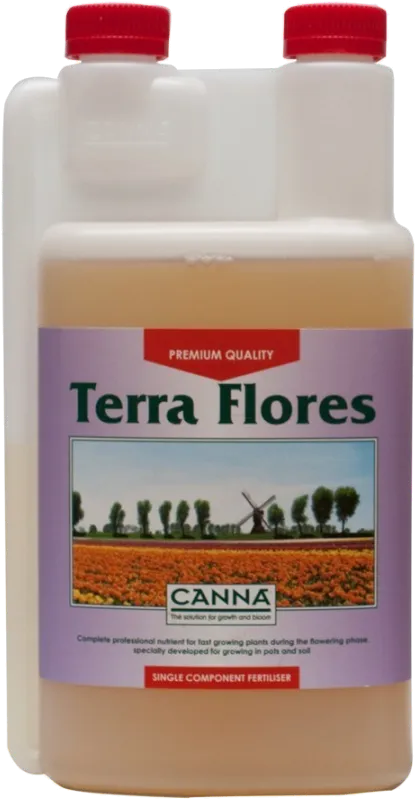 Canna Terra Flores