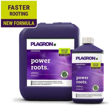 Plagron Power Roots