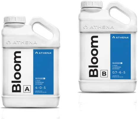 Athena Blended Line Bloom A+B