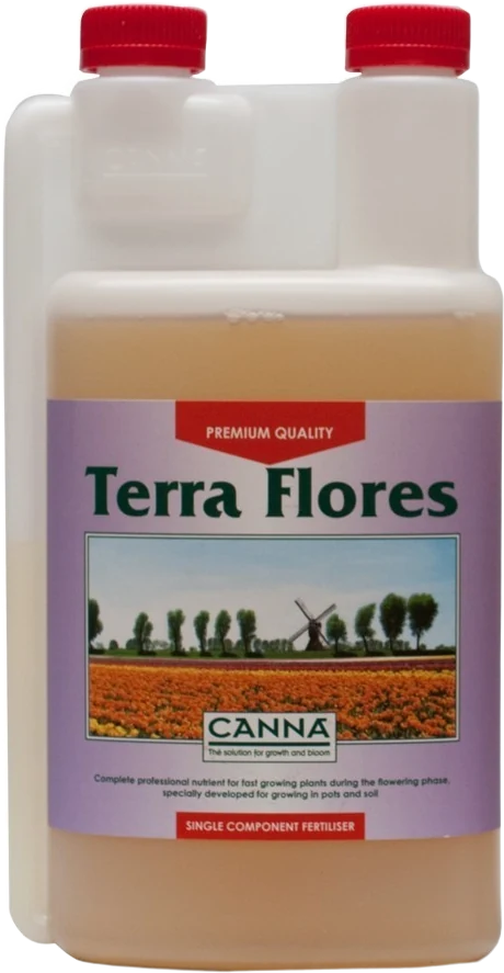 Canna Terra Flores